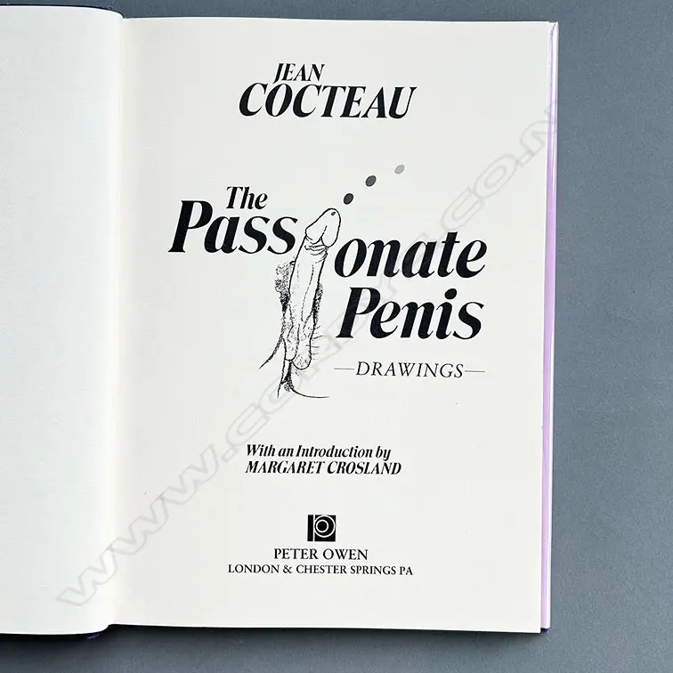 JEAN COCTEAU: THE PASSIONATE PENIS EROTIC DRAWINGS Image 1++